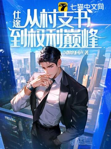 从村支书到仕途巅峰